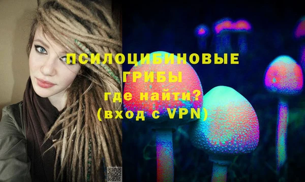 Альфа ПВП Алзамай