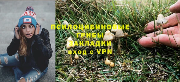 Альфа ПВП Алзамай