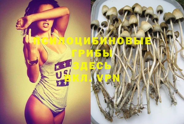 МДПВ Алексеевка